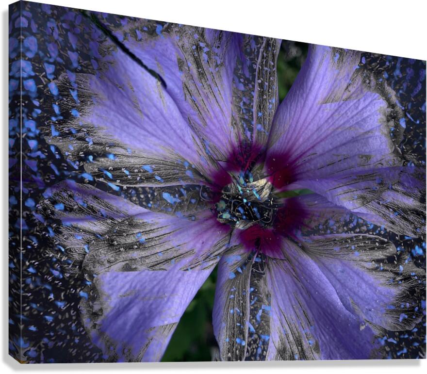 V1480 Canvas Print