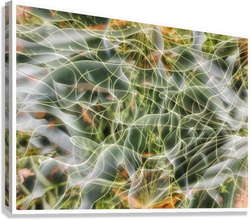 V1481 Canvas Print