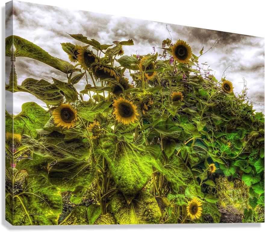 V1483 Canvas Print