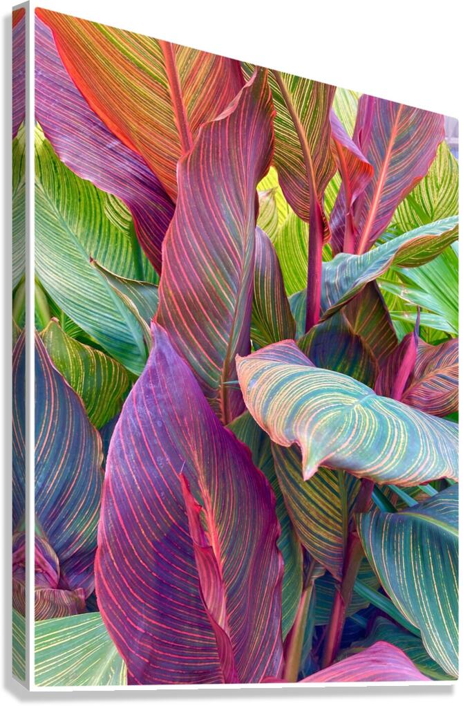 V1485 Canvas Print