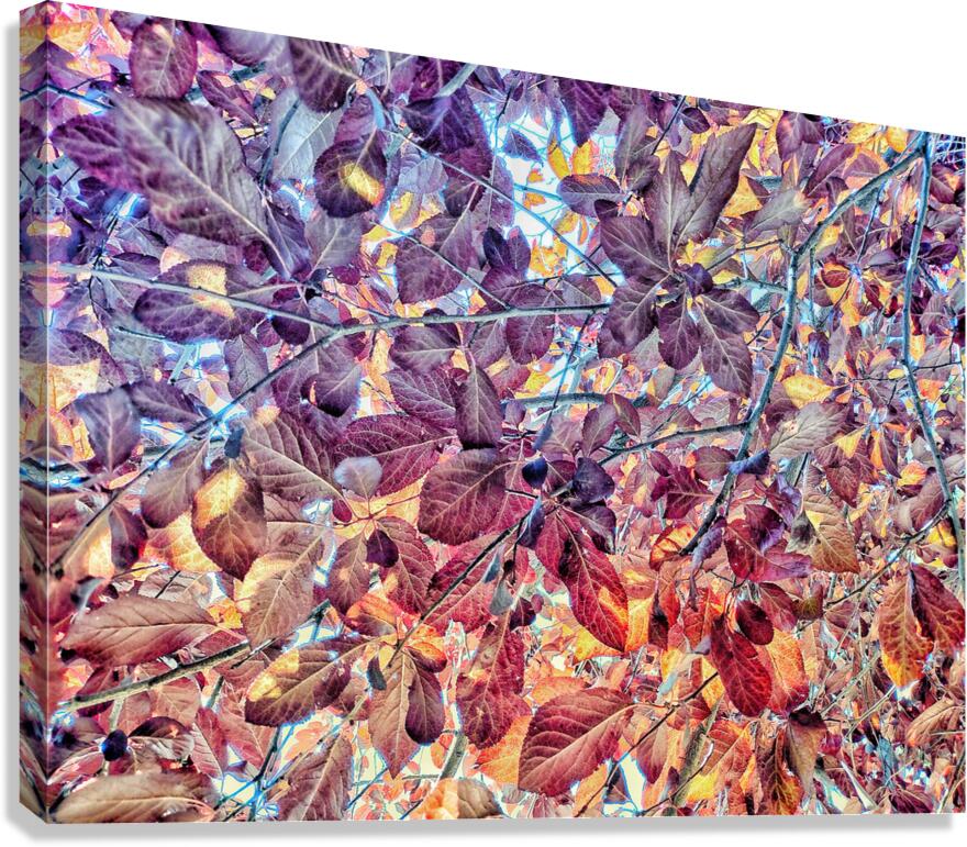 V1490 Canvas Print