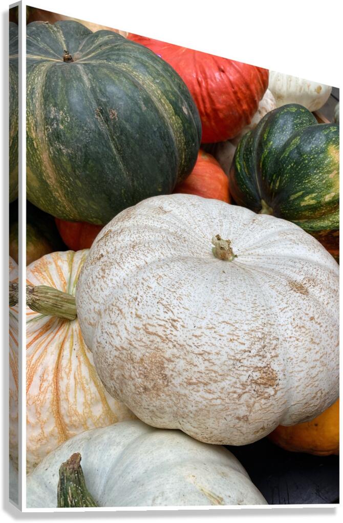 V1491 Canvas Print