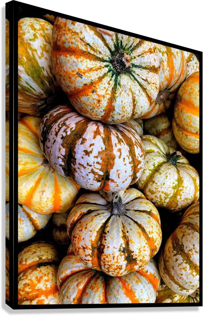 V1492 Canvas Print