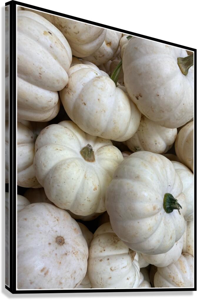 V1493 Canvas Print