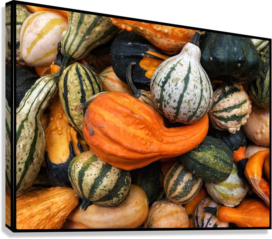 V1494 Canvas Print