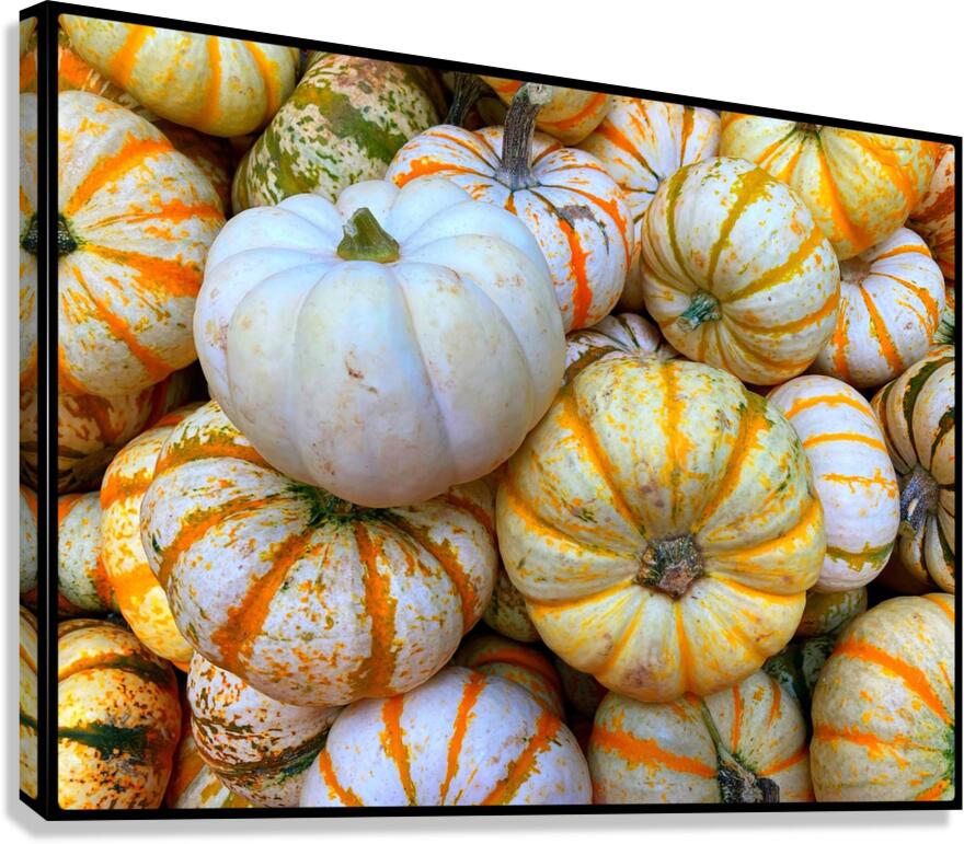 V1496 Canvas Print