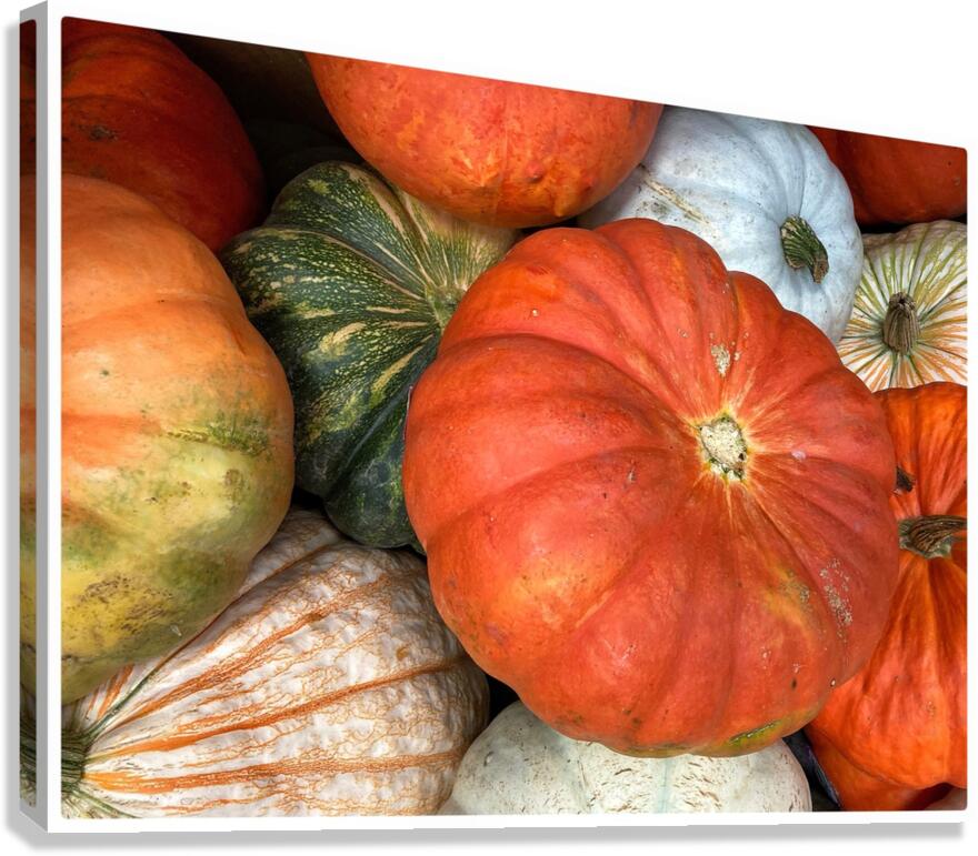 V1497 Canvas Print