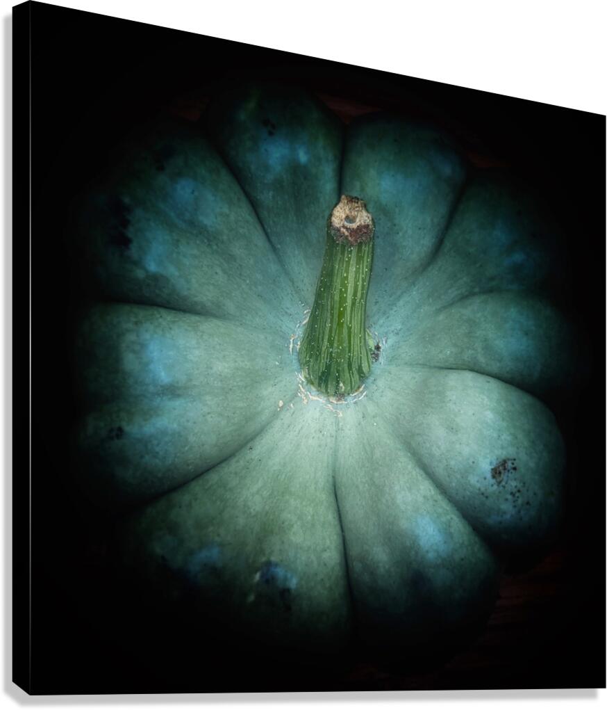 V1498 Canvas Print