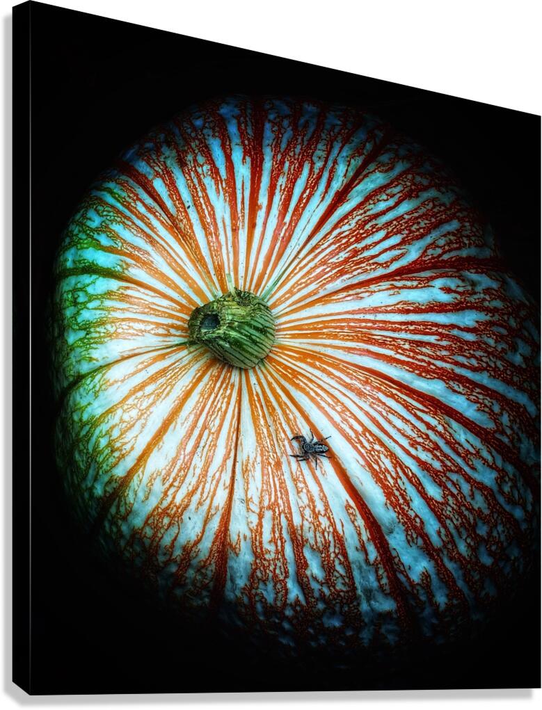 V1499 Canvas Print