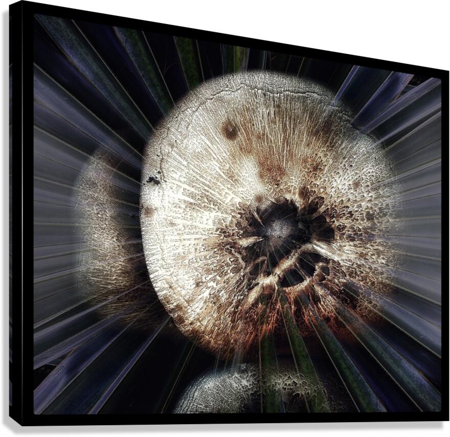 V1502 Canvas Print
