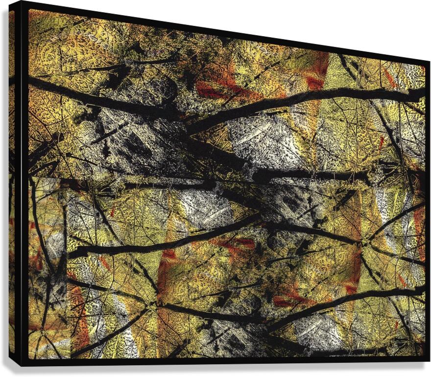 V1503 Canvas Print