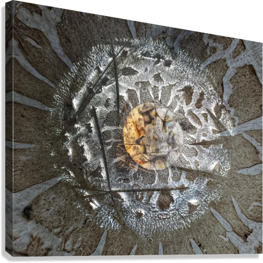 V1509 Canvas Print