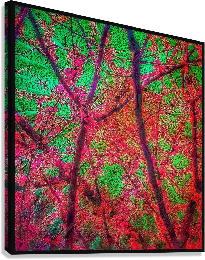V1514 Canvas Print