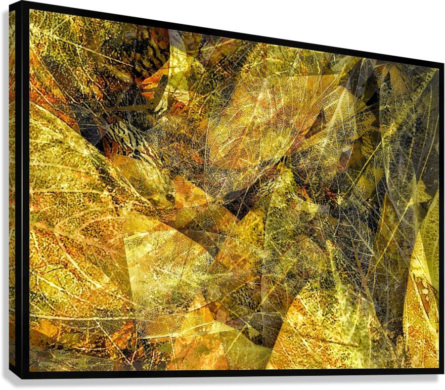 V1515 Canvas Print