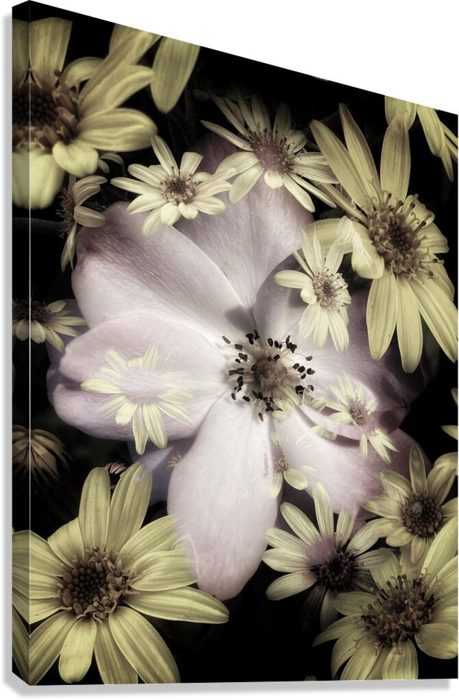 V1517 Canvas Print