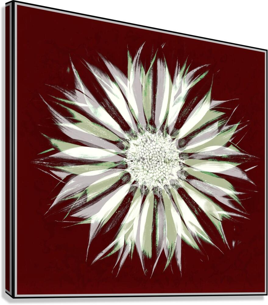 V1518 Canvas Print
