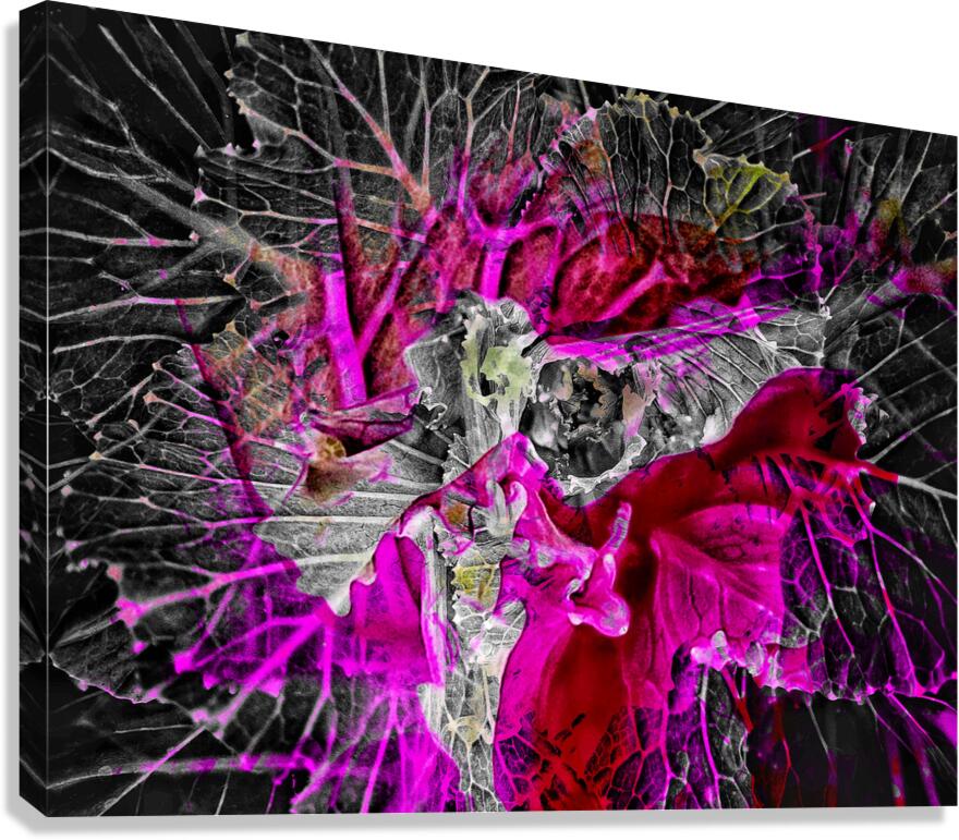 V1519 Canvas Print