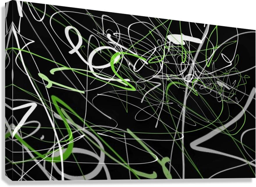 V1522 Canvas Print