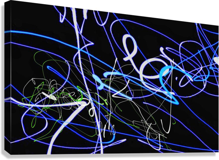 V1523 Canvas Print
