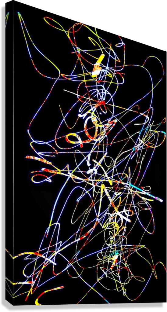V1524 Canvas Print