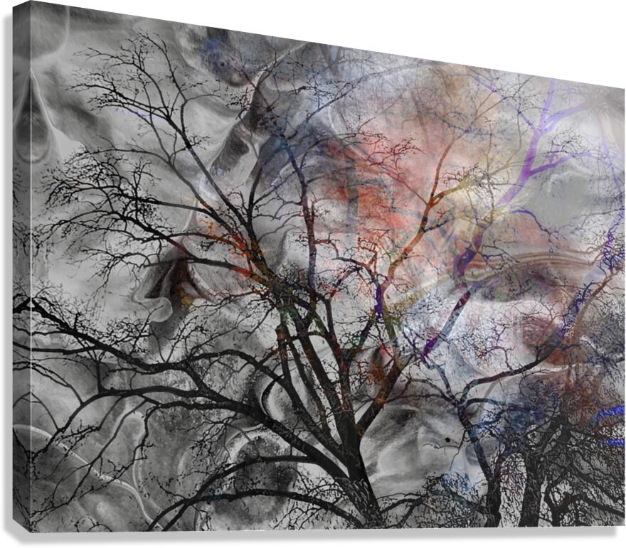 V1525 Canvas Print