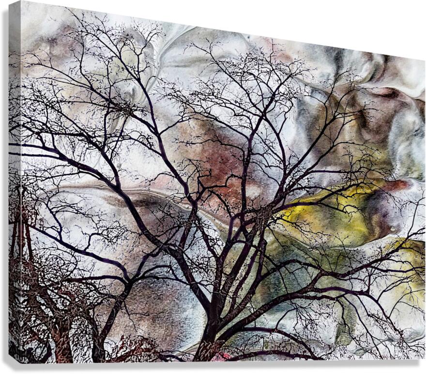 V1527 Canvas Print
