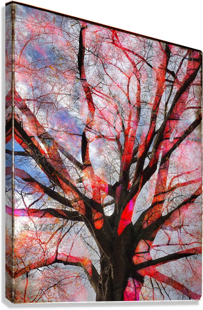 V1530 Canvas Print