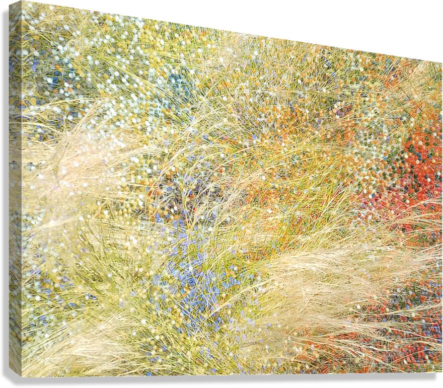 V1531 Canvas Print