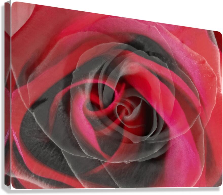 V1532 Canvas Print