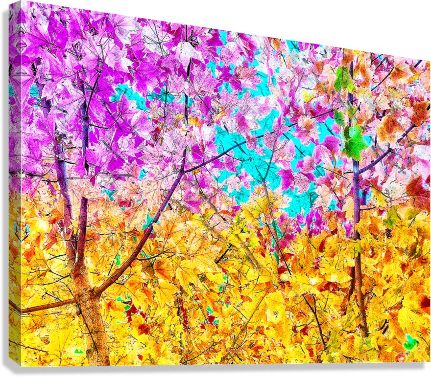 V1535 Canvas Print