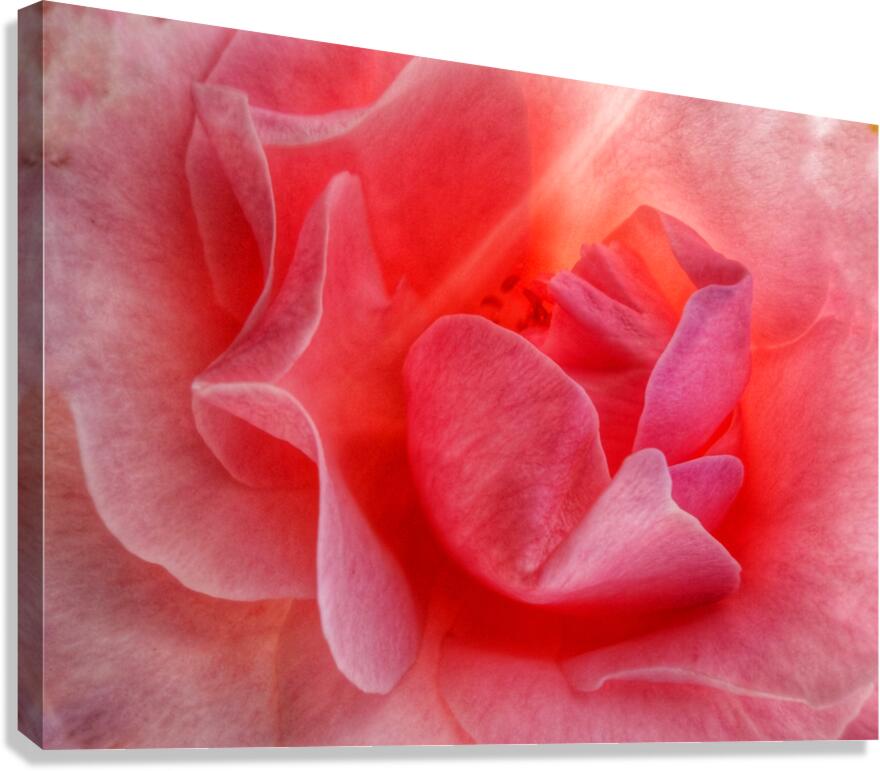 V1537 Canvas Print