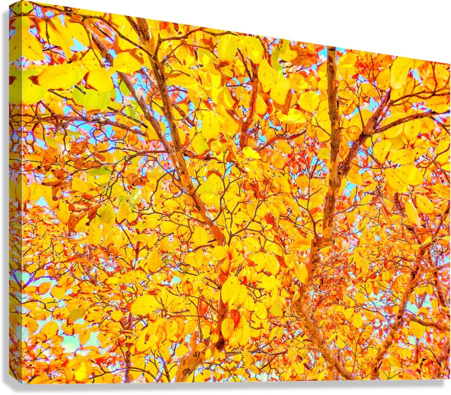 V1539 Canvas Print