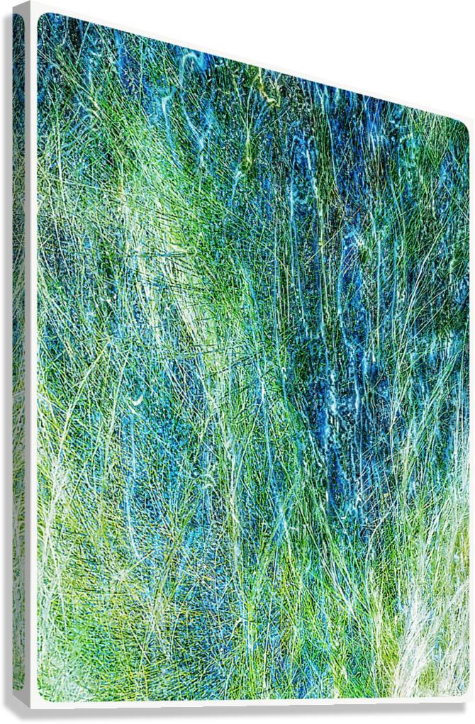 V1541 Canvas Print