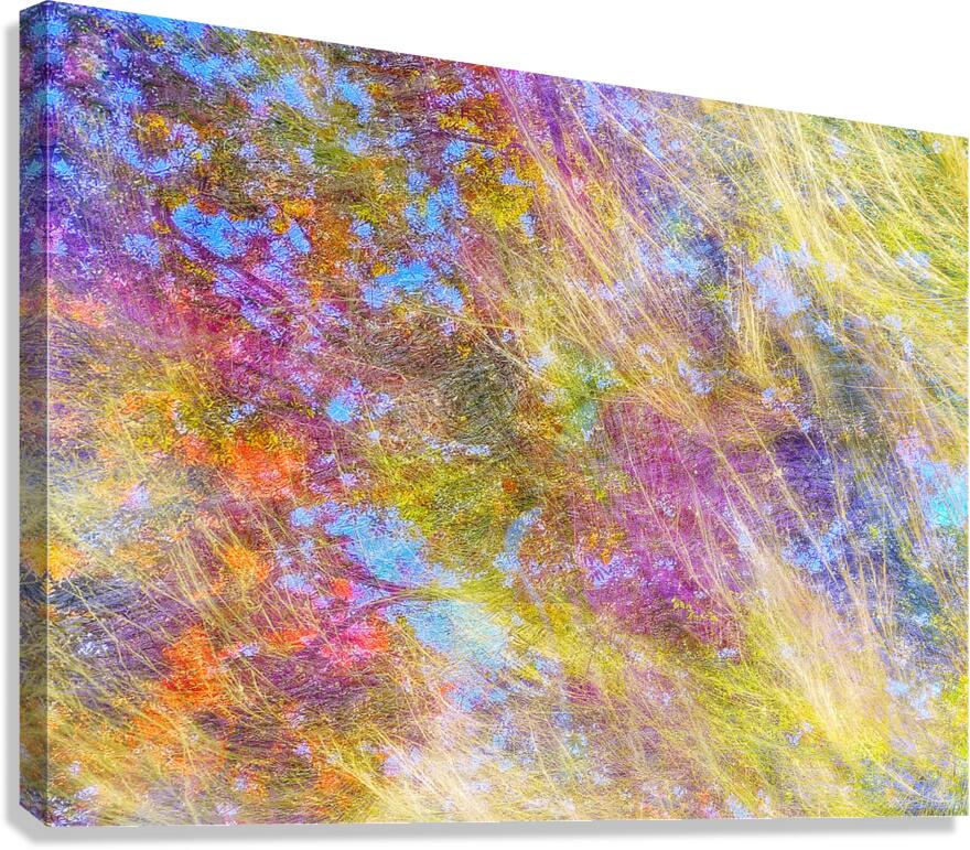 V1542 Canvas Print
