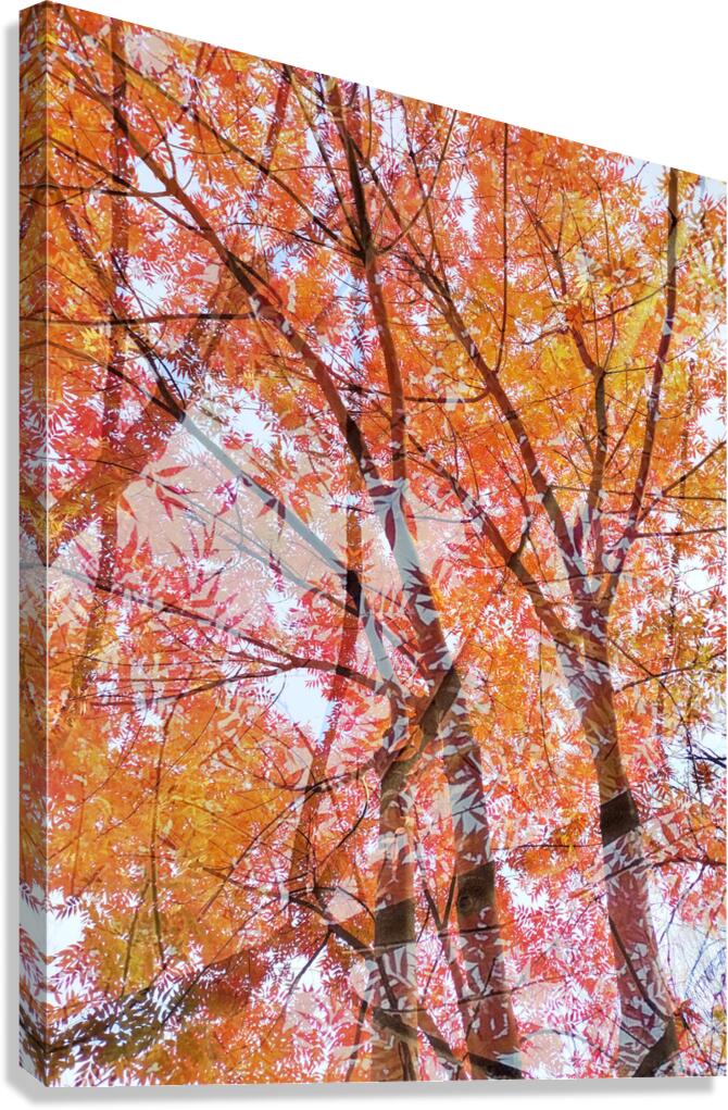 V1543 Canvas Print