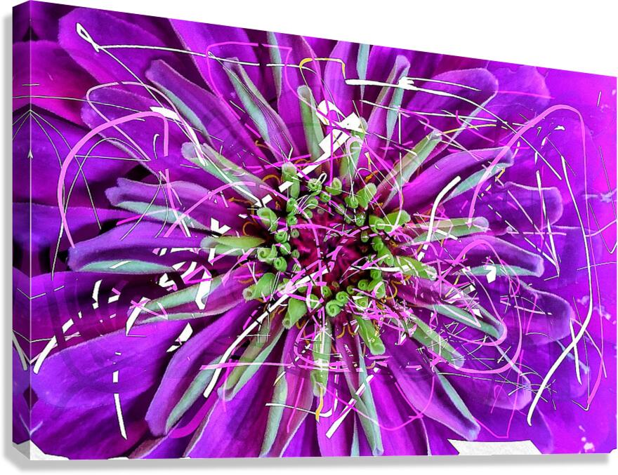 V1545 Canvas Print