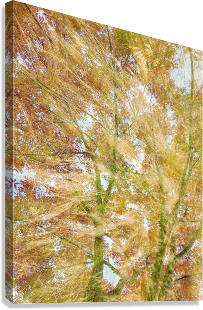 V1547 Canvas Print