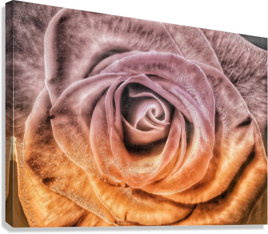 V1549 Canvas Print