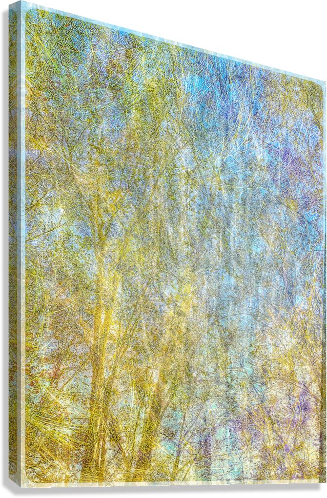 V1550 Canvas Print