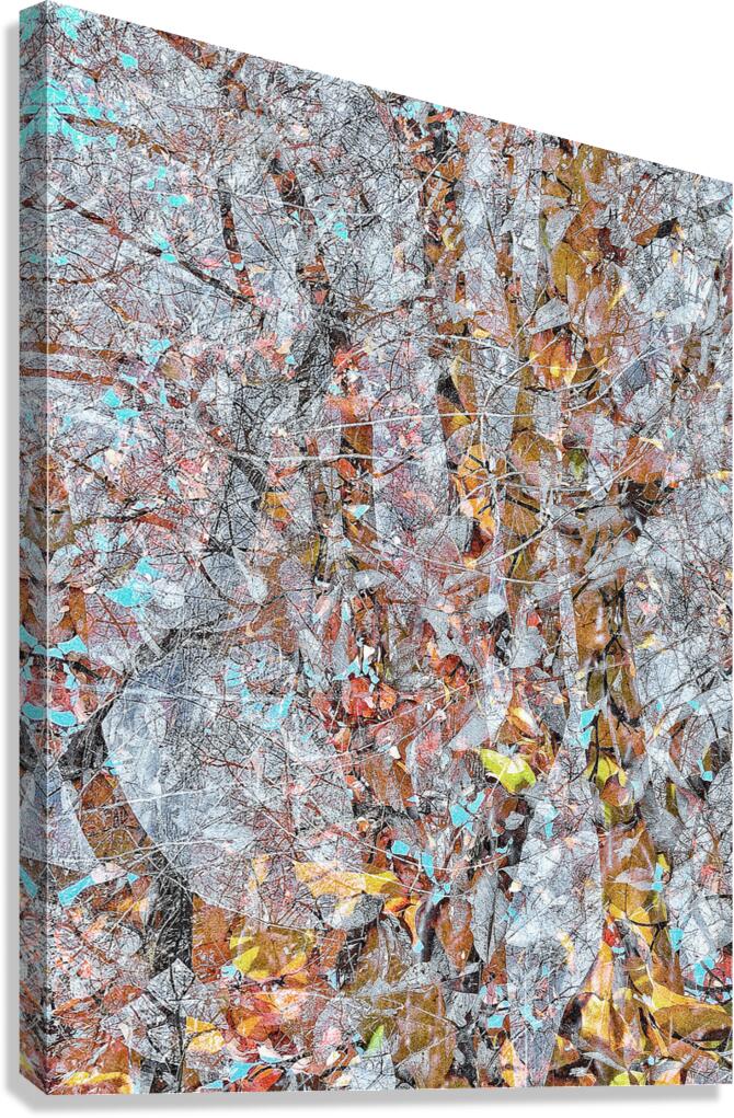 V1552 Canvas Print