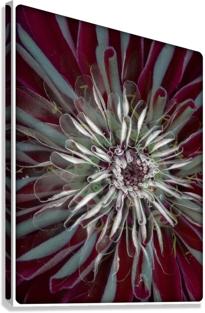 V1553 Canvas Print