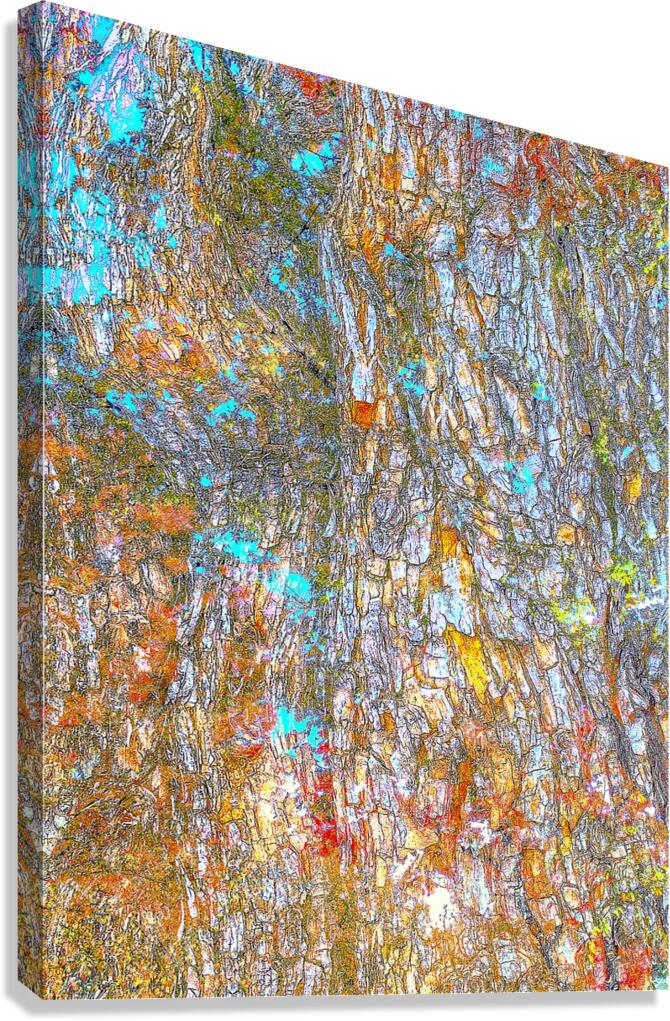 V1554 Canvas Print
