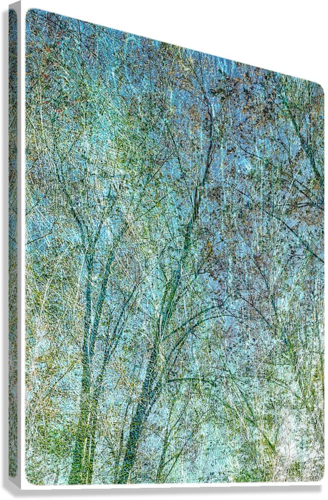 V1557 Canvas Print