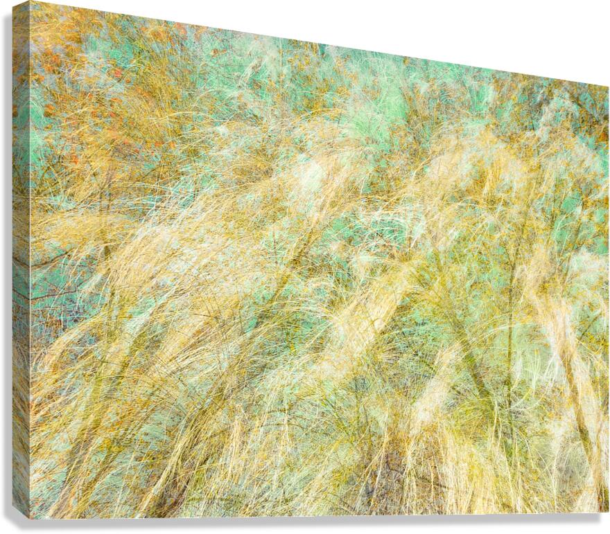 V1560 Canvas Print
