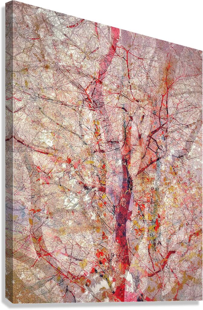 V1563 Canvas Print