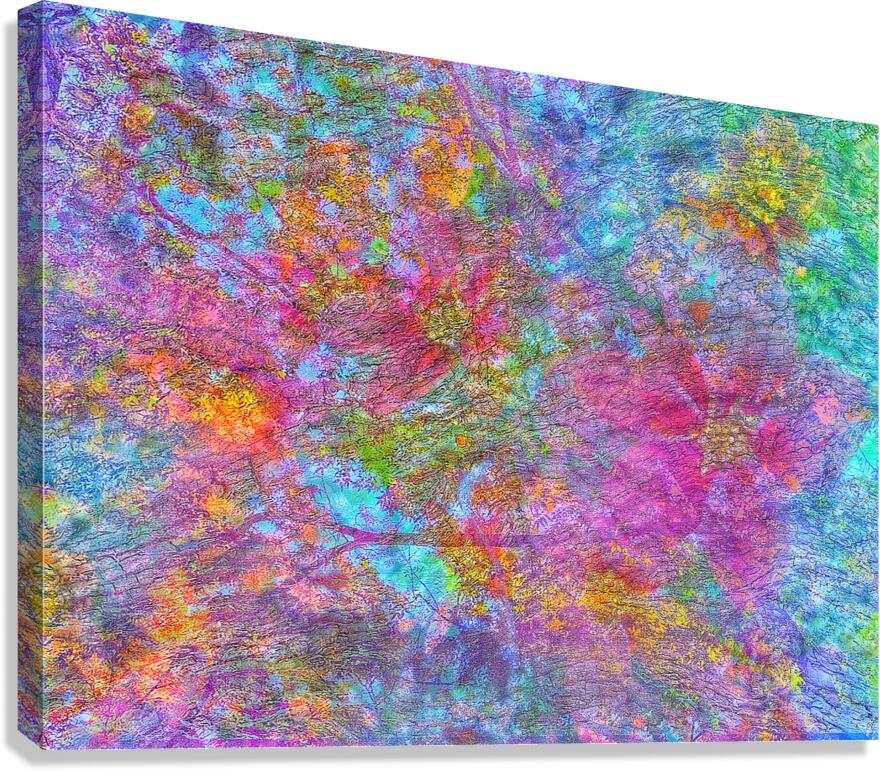 V1564 Canvas Print