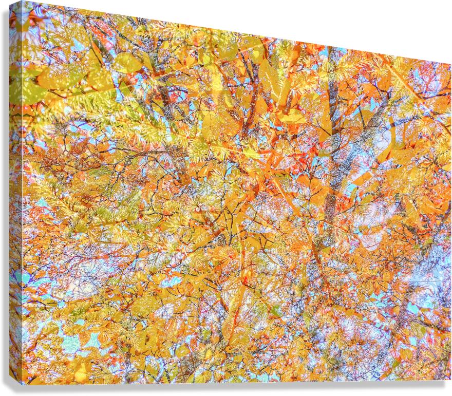 V1566 Canvas Print