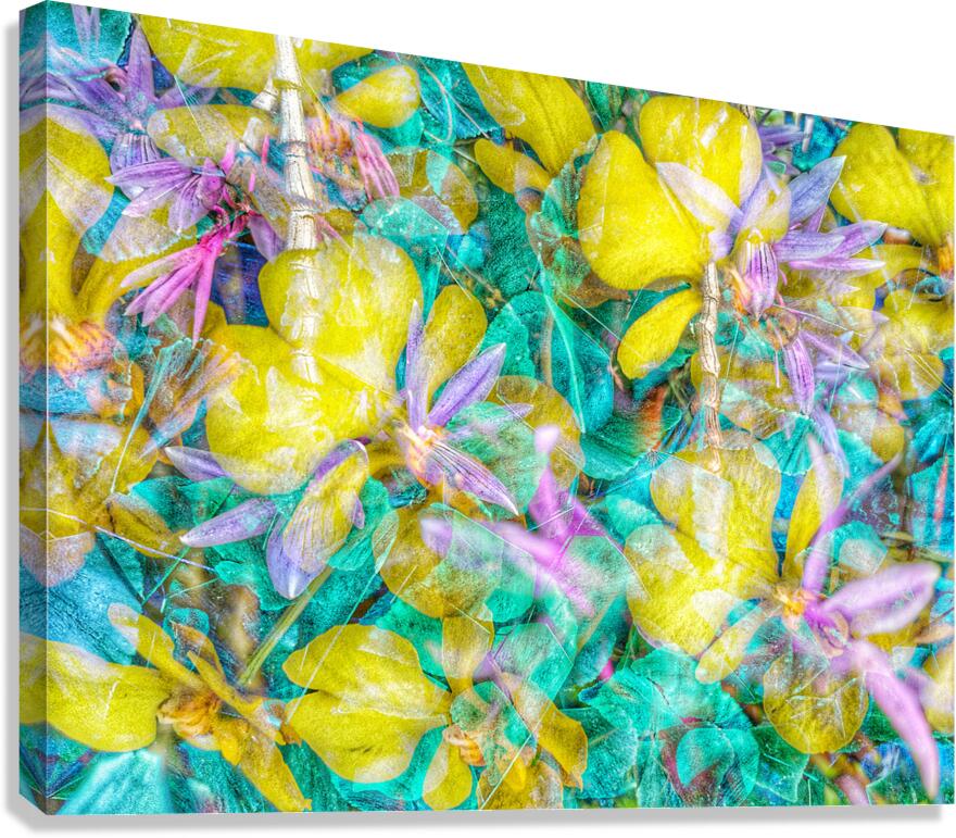 V1569 Canvas Print