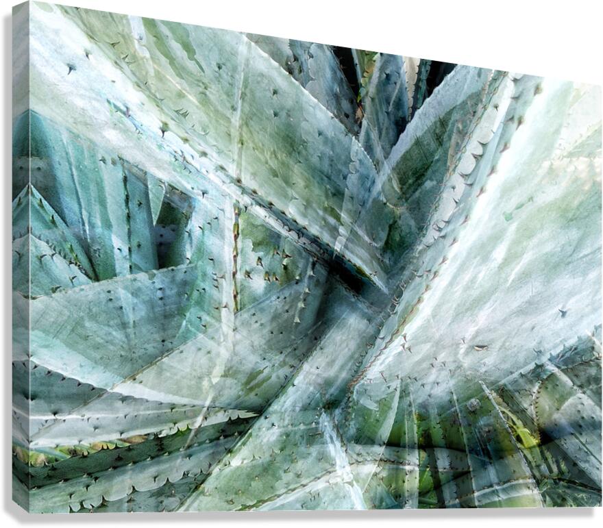 V1571 Canvas Print