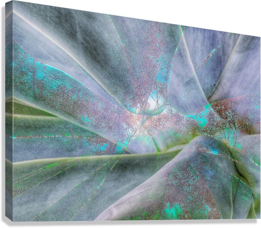 V1575 Canvas Print